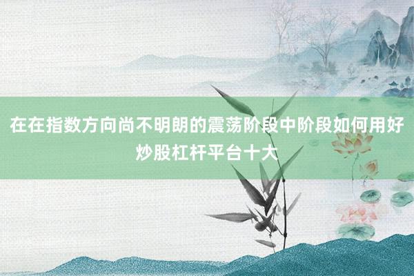 在在指数方向尚不明朗的震荡阶段中阶段如何用好炒股杠杆平台十大