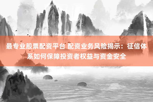 最专业股票配资平台 配资业务风险揭示:征信体系如何保障投资者权益与资金安全